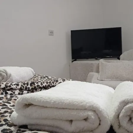 Stanic Apartment *